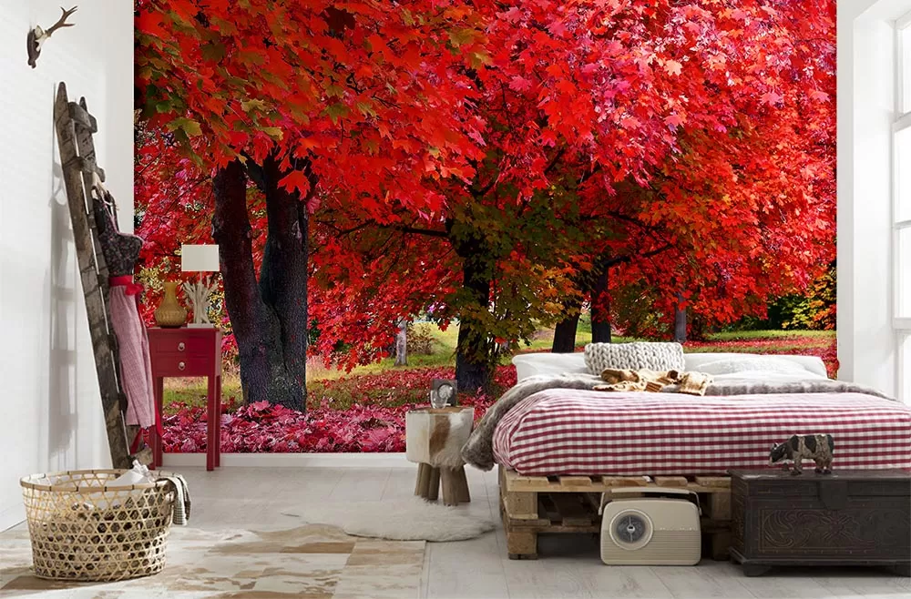 Kırmızı Yapraklar Ve Sonbahar Manzarası